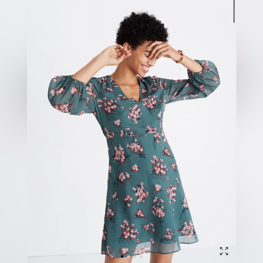 Madewell Marguerite Dress in Butterfly Garden Green 3/4‎ Sleeve Flowy Women’s 2